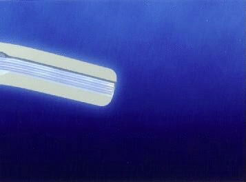 ブラシノズル先端アニメ